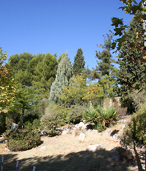 Vista parcial Arboreto